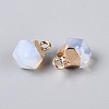 Opalite Pendants G-N359-18G-22-2