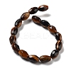 Natural Tiger Eye Beads Strands G-P520-C19-01-3