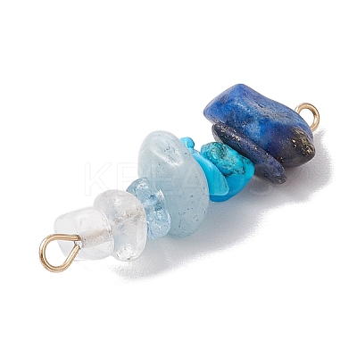 10Pcs 10 Styles Mixed Gemstone Chip Beaded Connector Charms PALLOY-JF02872-1
