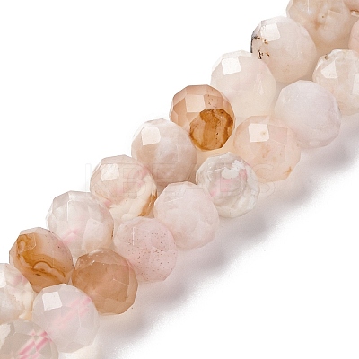 Natural Cherry Blossom Agate Beads Strands G-K380-A43-03-1