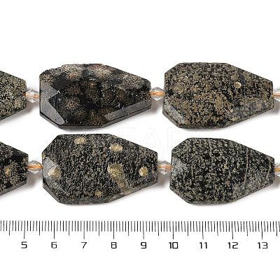 Natural Snowflake Obsidian Beads Strands G-P548-B20-01-1