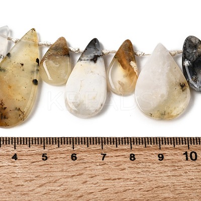 Natural African Opal Beads Strands G-D365-B01-1