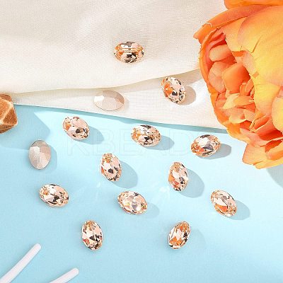 Preciosa® MAXIMA Crystal Fancy Stones X-PRC-FF14-90300-1