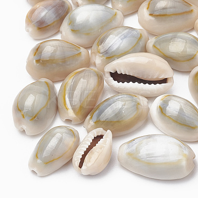 Cowrie Shell Beads X-SSHEL-T004-05-1