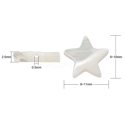 Natural Trochid Shell/Trochus Shell Beads SHEL-CJ0001-20-1