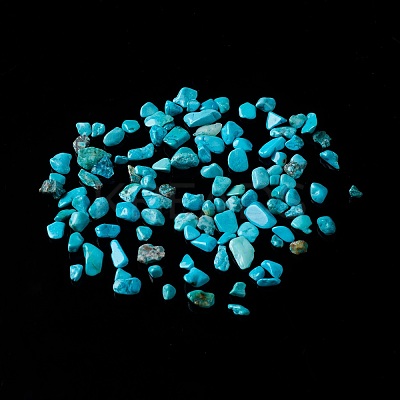 Natural Magnesite Chip Beads G-M364-09A-1