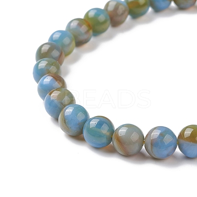 Handmade Lampwork Beads Strands LAMP-D072-B-03-1
