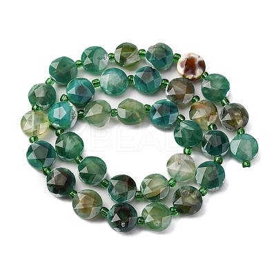 Dyed & Heated Natural Fire Crackle Agate Beads Strands G-C116-A177-01-1