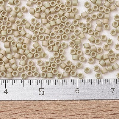 MIYUKI Delica Beads X-SEED-J020-DB2301-1