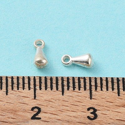925 Sterling Silver Charms STER-F053-08S-1