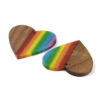 Pride Rainbow Theme Resin & Walnut Wood Pendants X-WOOD-K012-03-1