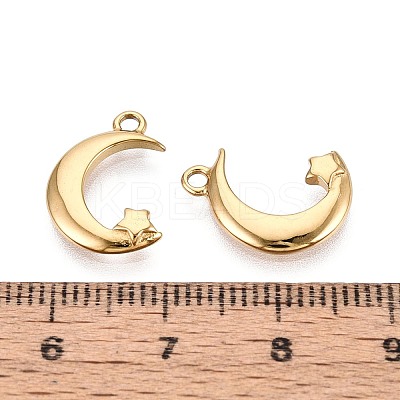 304 Stainless Steel Pendants STAS-T072-134G-1