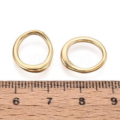 304 Stainless Steel Charms STAS-T069-88G-02-1
