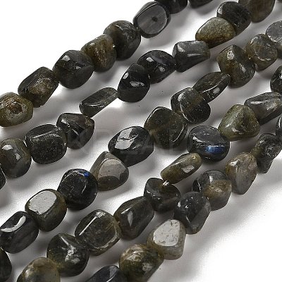 Natural Larvikite Beads Strands G-P497-01E-85-1