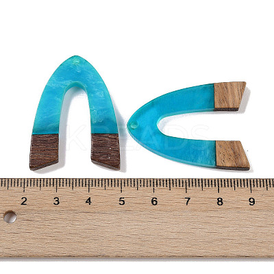 Resin & Wood Pendants WOOD-F015-16F-1