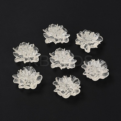 Transparent Resin Cabochons LS-X-RESI-G027-01A-1