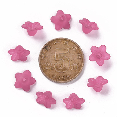 Transparent Acrylic Beads X-PL554-04-1