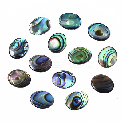 Natural Abalone Shell/Paua Shell Cabochons SSHEL-N034-118-1