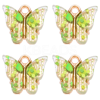 Transparent Acrylic Charms BUER-PW0002-02E-1