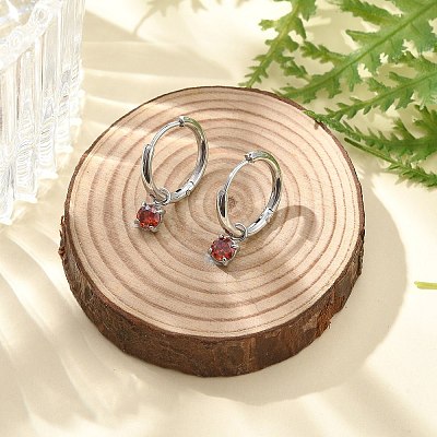 304 Stainless Steel Micro Pave Cubic Zirconia Hoop Earrings STAS-R004-02P-01-1