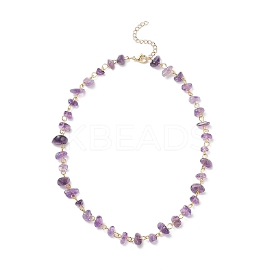 Natural Amethyst Chips Beaded Necklaces NJEW-JN04061-01-1