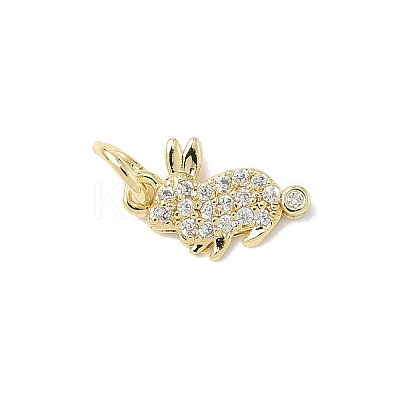 Brass Micro Pave Cubic Zirconia Charms ZIRC-I356-15G-05-1