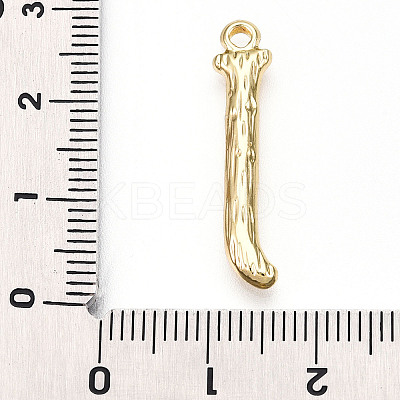 304 Stainless Steel Pendants STAS-N117-01G-J-1