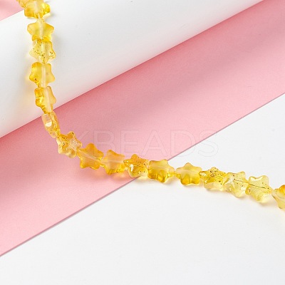 Transparent Glass Beads GLAA-F112-04C-1