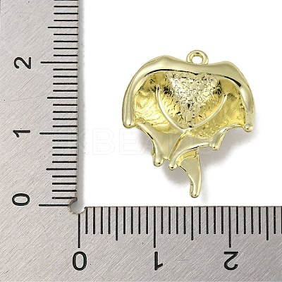 Rack Plating Alloy Enamel Pendants PALLOY-F312-49G-01-1