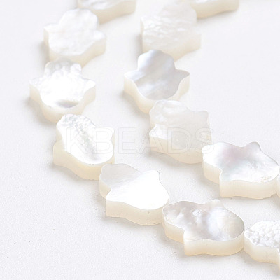 Natural White Shell Mother of Pearl Shell Beads SSHEL-L017-006-1