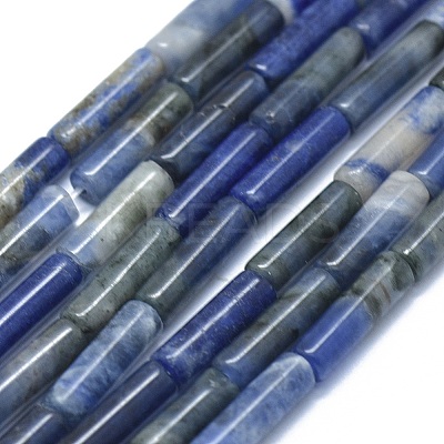 Natural Sodalite Beads Strands G-F631-D16-1