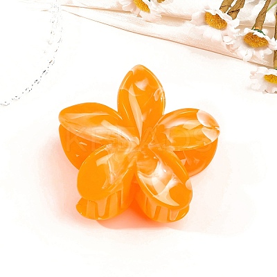 Resin Claw Hair Clips PW-WG0E0E6-04-1