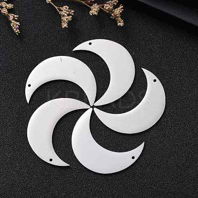 Tarnish Resistant 304 Stainless Steel Pendants STAS-L238-102A-P-1