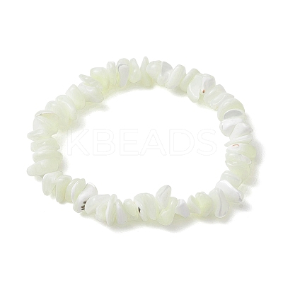 Natural Trochus Shell Chip Beaded Stretch Bracelets for Women Men BJEW-JB10549-1
