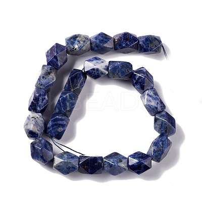 Natural Sodalite Beads Strands G-L235A-15-1