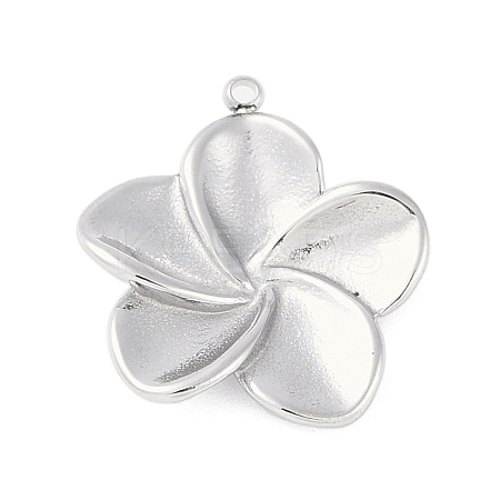 Non-Tarnish 304 Stainless Steel Pendants STAS-L022-420P-1