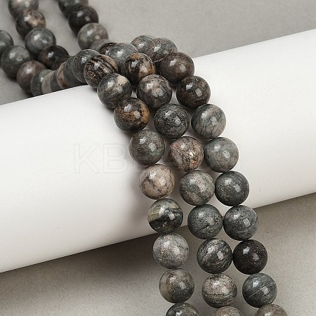 Natural Gemstone Beads Strands G-F792-C11-06-1
