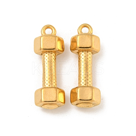 Ion Plating(IP) 304 Stainless Steel Pendants X-STAS-N103-79G-1