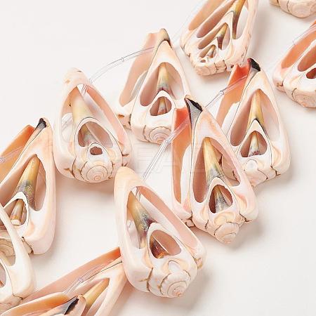 Natural Shell Beads Strands LS-SSHEL-G018-03-1