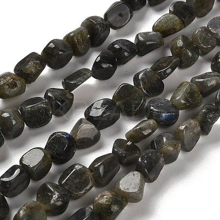Natural Larvikite Beads Strands G-P497-01E-85-1