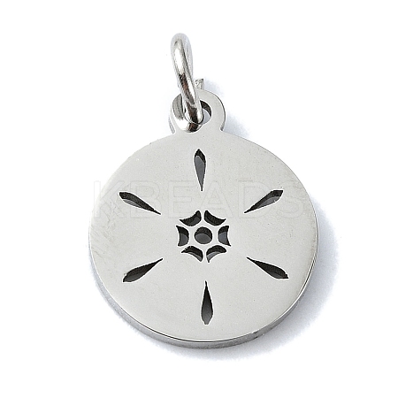 Non-Tarnish 304 Stainless Steel Charms STAS-C097-46P-03-1