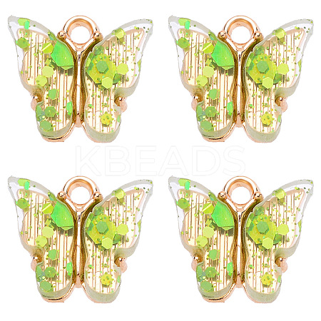 Transparent Acrylic Charms BUER-PW0002-02E-1