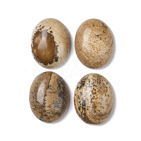Natural Picture Jasper Cabochons G-B080-01A-11-1