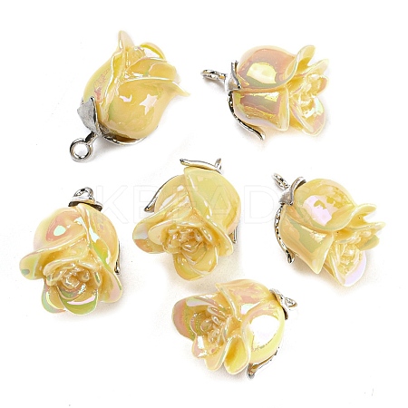 Opaque Resin Pendants RESI-K031-05A-P-1