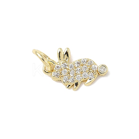 Brass Micro Pave Cubic Zirconia Charms ZIRC-I356-15G-05-1