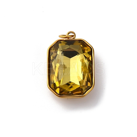 316 Stainless Steel Faceted Glass Pendants STAS-K258-48G-05-1