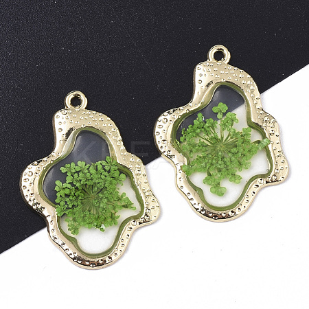 Epoxy Resin Pendants X-RESI-T045-028B-1