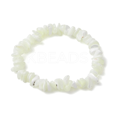Natural Trochus Shell Chip Beaded Stretch Bracelets for Women Men BJEW-JB10549-1