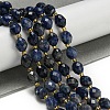 Natural Sodalite Beads Strands G-N342-57-2
