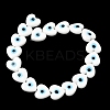 Handmade Lampwork Beads LA-CBAC3C1-01B-1